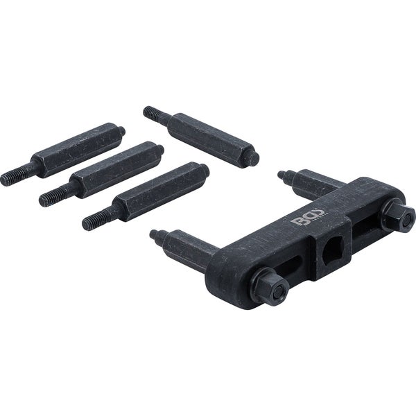 Washingtonia filifera Palme in einem Topf mit fächerförmigen grünen Blättern in einem hellen Gewächshaus.