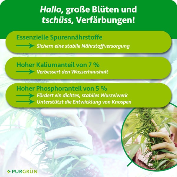 Purgrün Logo. Infografik: Vorteile von Spurennährstoffen, 7 Prozent Kalium für Wasserhaushalt und 5 Prozent Phosphor für Wurzeln und Blütenbildung.
