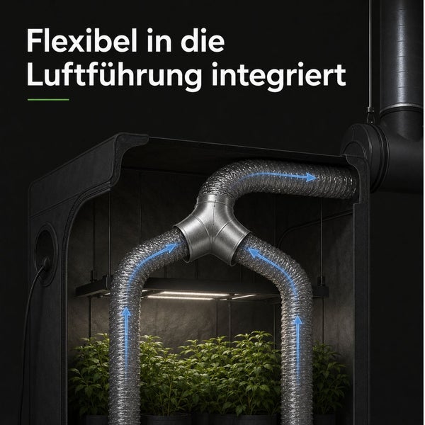 Belüftungssystem in einem schwarzen Growzelt mit flexiblen silbernen Rohren, einer Verbindung in Y-Form, einer Lampe und grünen Pflanzen.