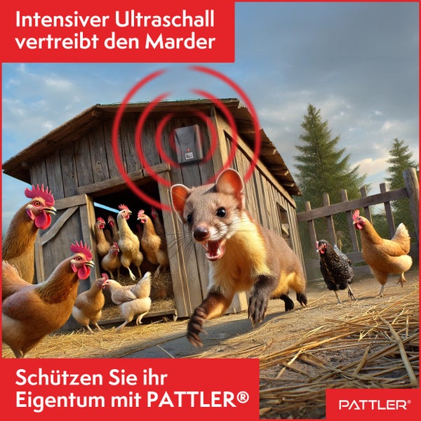 PATTLER® Marderschreck Auto batteriebetrieben für ca. 40m² - mit Ultraschall und Anti Gewöhnungseffekt | Mobiler Marderschutz mit Batteriebetrieb | Marderabwehr , Haus, Garage, Dachboden, Garten