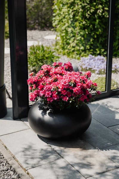 Schwarzer runder Pflanztopf mit pinkfarbenen Blumen auf einer Steinterrasse im Außenbereich vor einer Glaswand.