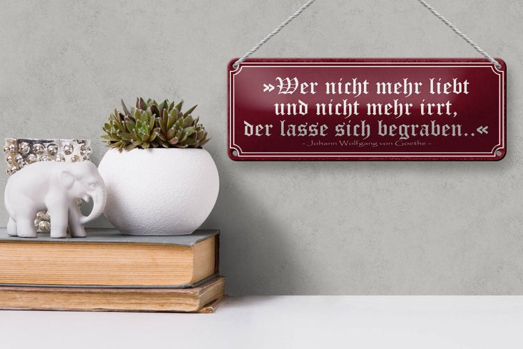 Blechschild Spruch 27x10cm wer nicht mehr liebt und irrt Dekoration