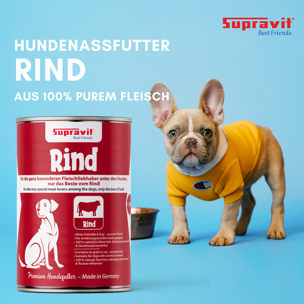 Supravit Best Friends Hundenassfutter Rind in Dose mit Hund