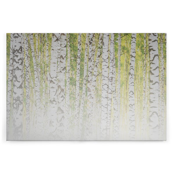 Leinwandbild mit Darstellung eines Birkenwaldes im Frühling als Wanddekoration