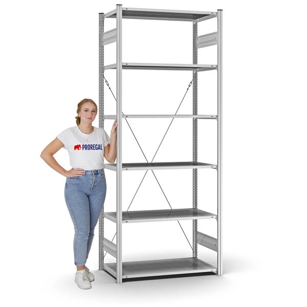 PROREGAL Profi Lagerregal Stecksystem T-Profil Grundregal HxBxT 250 x 100 x 50 cm Fachlast 125 kg Verzinkt