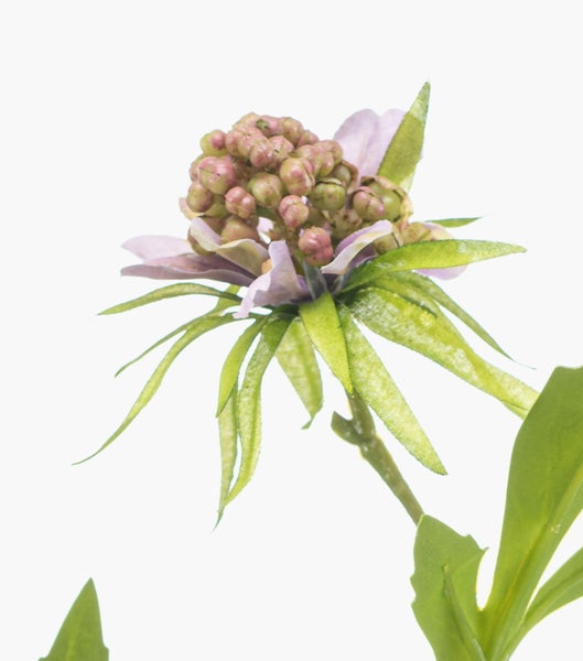 Künstliche Skabiose mit drei lila Blüten und grünen Blättern.