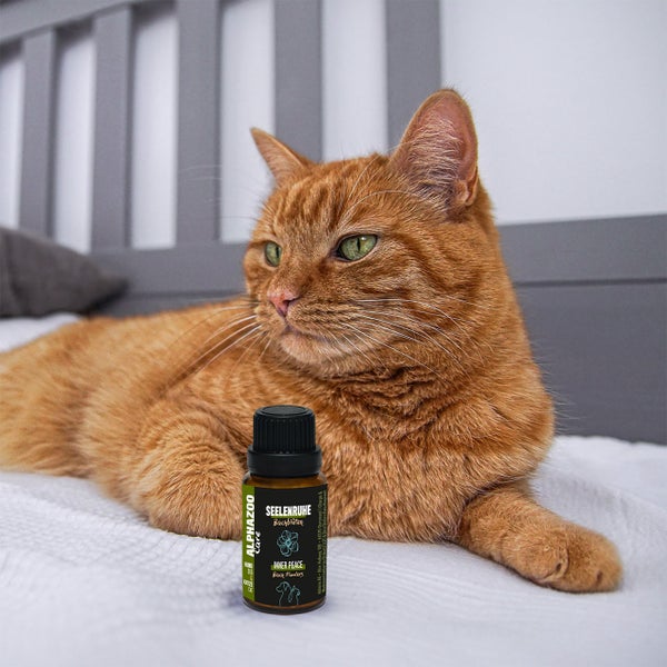 ALPHAZOO Seelenruhe Bachblüten 15g für Hunde und Katzen I Entspannung Globuli Pastillen