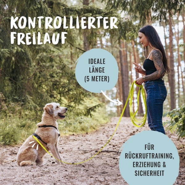 Hund mit wasserdichter Allwetter-Leine im Freien