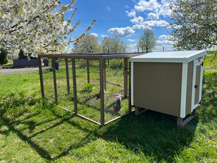 Hühnerauslauf Mitte EZ Chicken Home Beige 5,84m² 208 x 300 x 154 cm hergestellt in EU
