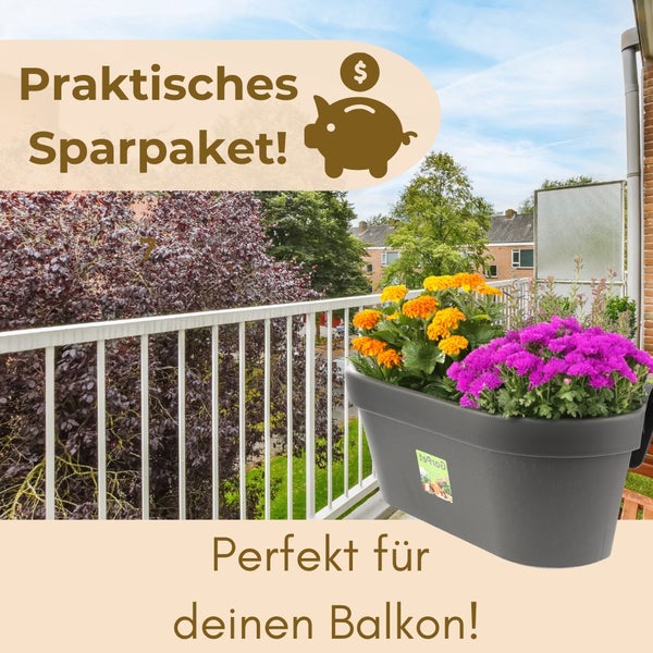 Szene eines Balkons mit Blumenkasten und Blumen