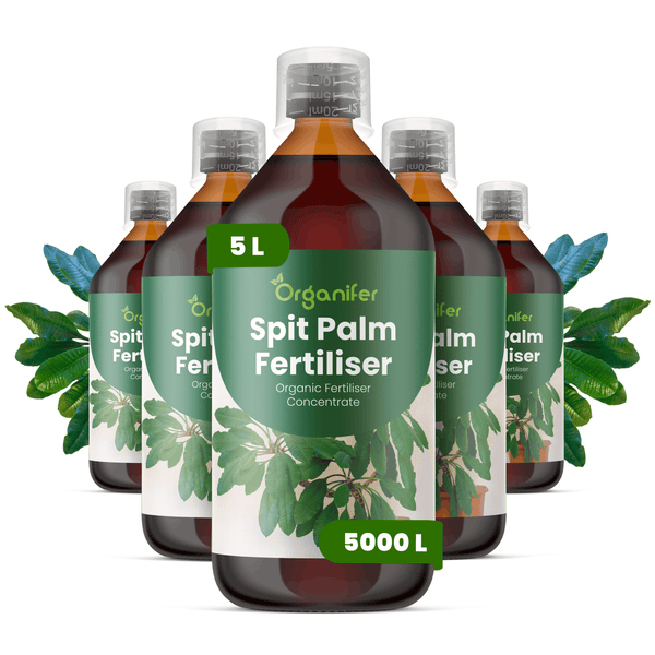 Fünf Flaschen Organifer Spit Palm Dünger, organisches Flüssigdüngerkonzentrat für Palmen, 5 Liter Inhalt pro Flasche.