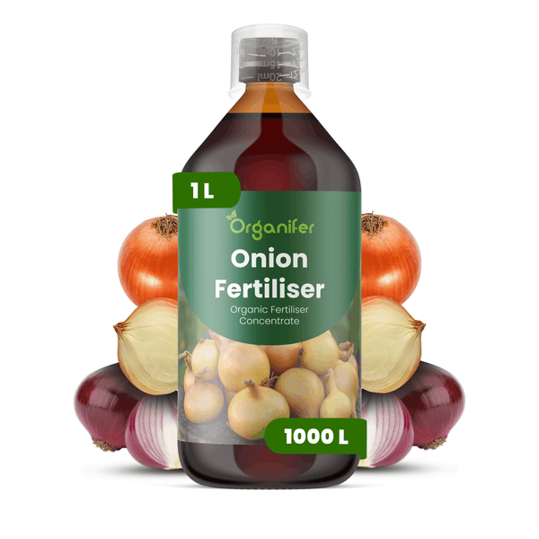 Organifer Zwiebeldünger, 1 Liter Flasche, organisches Düngerkonzentrat für Zwiebeln.