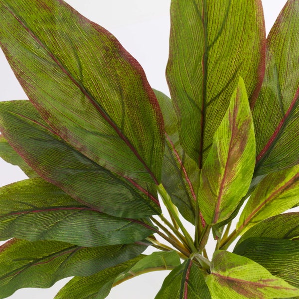 Nahaufnahme einer Kunstpflanze mit großen grünen Blättern und roten Blattadern.