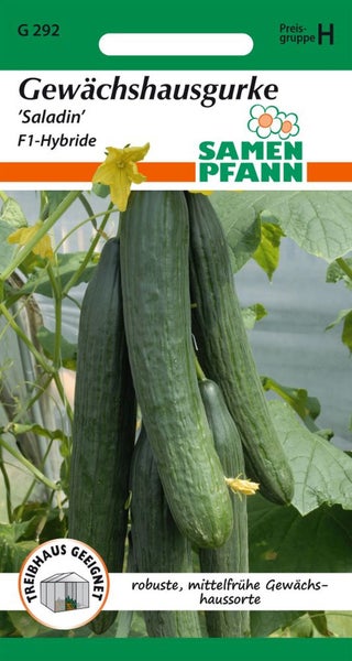 Samen Pfann Gewächshausgurke Saladin F1-Hybride