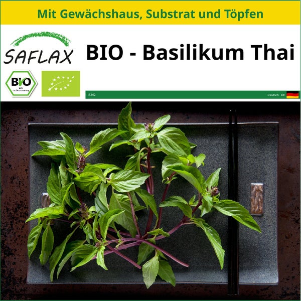 SAFLAX Anzucht Set - BIO - Basilikum Thai - Ocimum basilicum - 250 Samen - Mit Mini-Gewächshaus, Anzuchtsubstrat und 2 Töpfen