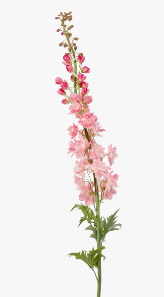 Künstliche Sansevieria Bogenhanf in einem schwarzen Topf