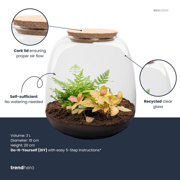 DIY-Terrarium mit Pflanzen in einem Glasbehälter mit Korkdeckel