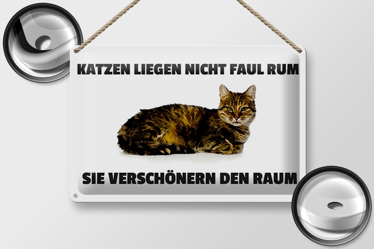Blechschild Spruch 30x20cm Katzen verschönern den Raum