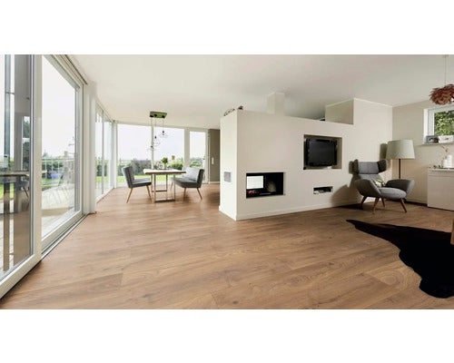 Heller Wohnraum mit Holzboden, Esstisch und Sesseln