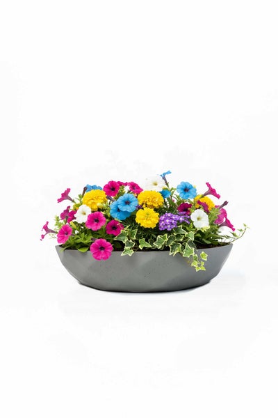 Bepflanzte Schale mit bunten Sommerblumen wie Petunien, Studentenblumen und Efeu.