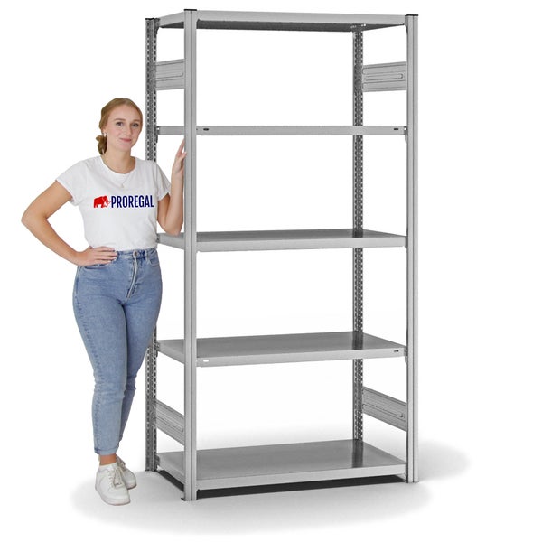 PROREGAL Fachbodenregal Stecksystem T-Profil Medium-Duty Grundregal HxBxT 200 x 100 x 50 cm 5 Ebenen Fachlast 230 kg Beidseitig Nutzbar Verzinkt