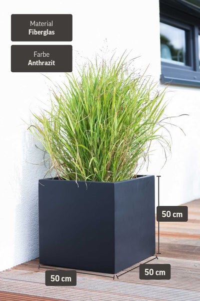 Quadratischer Pflanzkübel aus Fiberglas in Anthrazit, 50 mal 50 mal 50 Zentimeter, bepflanzt mit Ziergras auf einer Holzterrasse.