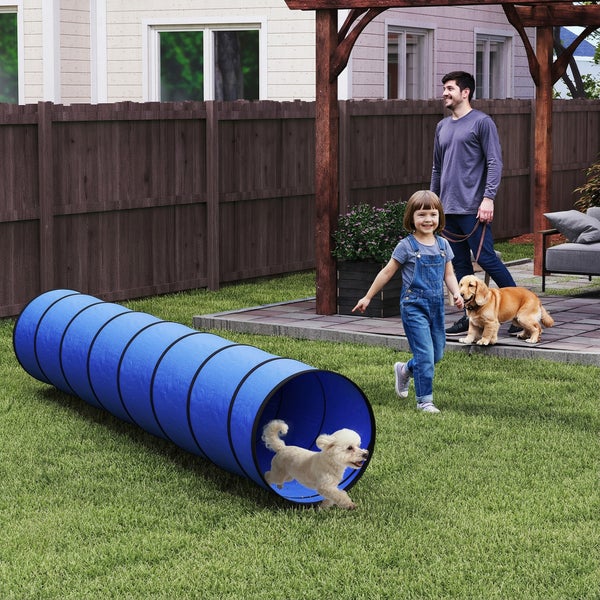 Ein kleiner weißer Hund läuft durch einen blauen Hundetunnel im Garten. Ein Kind und ein Mann mit einem weiteren Hund sind in der Nähe.
