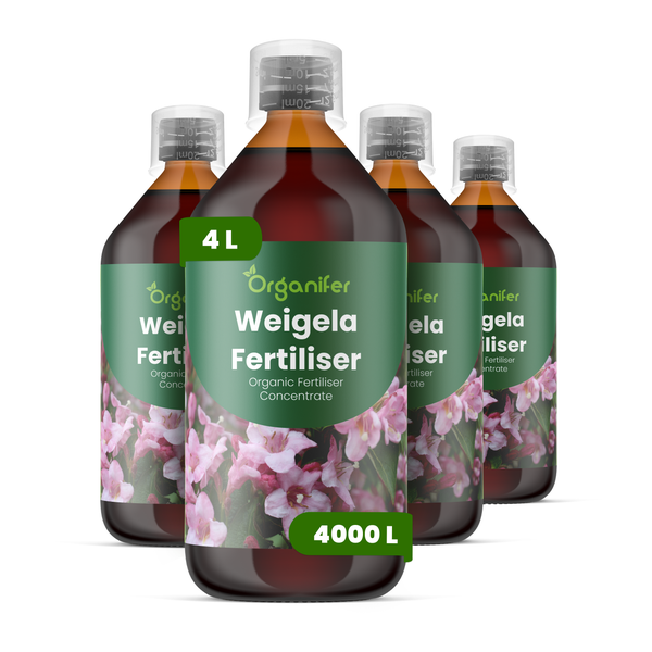 Organifer Weigela Dünger Konzentrat, 4 Liter Set, organischer Flüssigdünger.