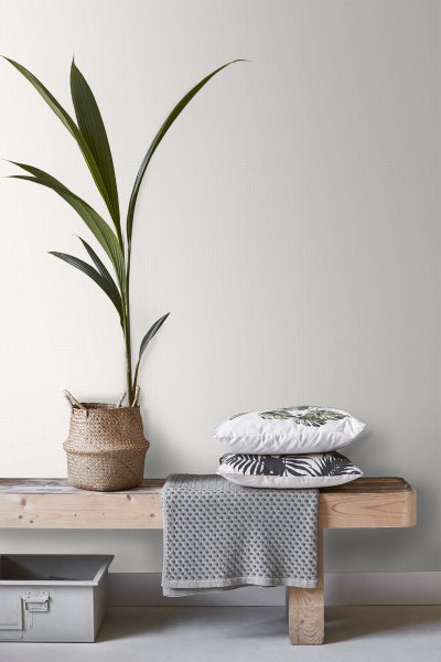 Dekorative Szene mit Pflanze im Korb, Kissen und Decke auf einer Holzbank