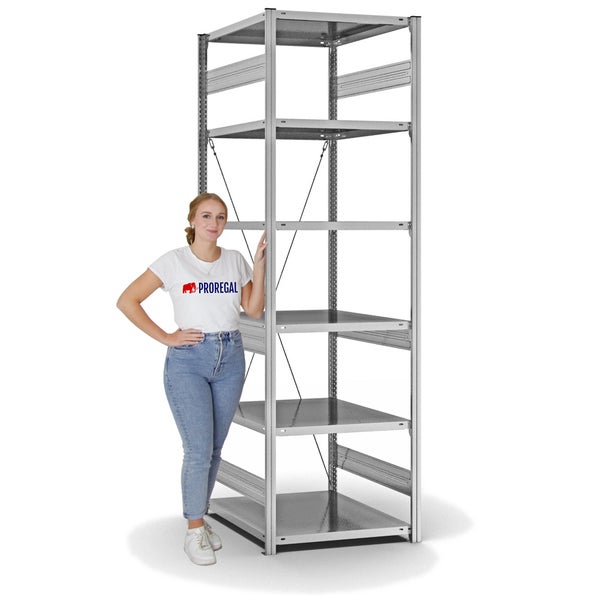 PROREGAL Fachbodenregal Stecksystem T-Profil Heavy-Duty Grundregal HxBxT 250 x 75 x 80 cm 6 Ebenen Fachlast 300 kg Einseitig Nutzbar Verzinkt