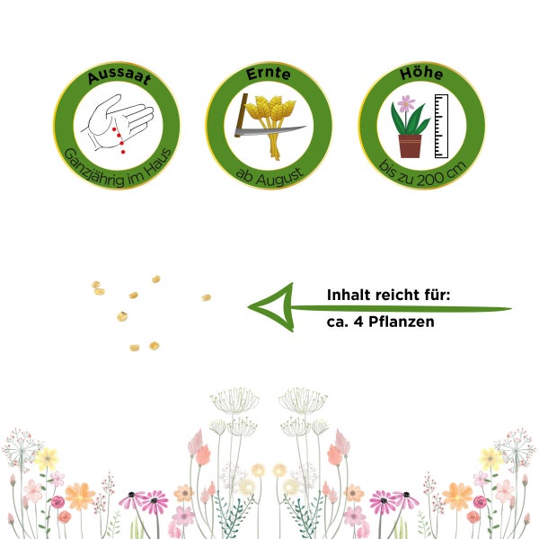Gojibeere Chinesische Wolfsbeere Samen von Deine Gartenwelt