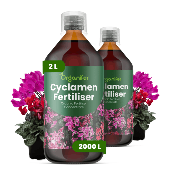 Organifer Alpenveilchendünger, 2 Liter Konzentrat für circa 2000 Liter Gießwasser, organischer Flüssigdünger.