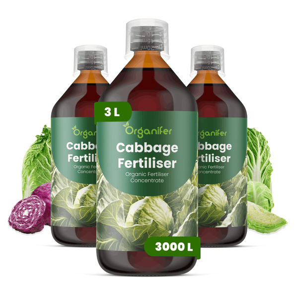 Drei Flaschen Organifer Kohl-Dünger, organisches Düngerkonzentrat, insgesamt drei Liter.