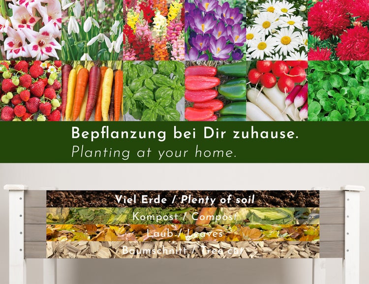 Collage verschiedener Pflanzen, Gemüse und Erdschichten für die Gartenarbeit zu Hause
