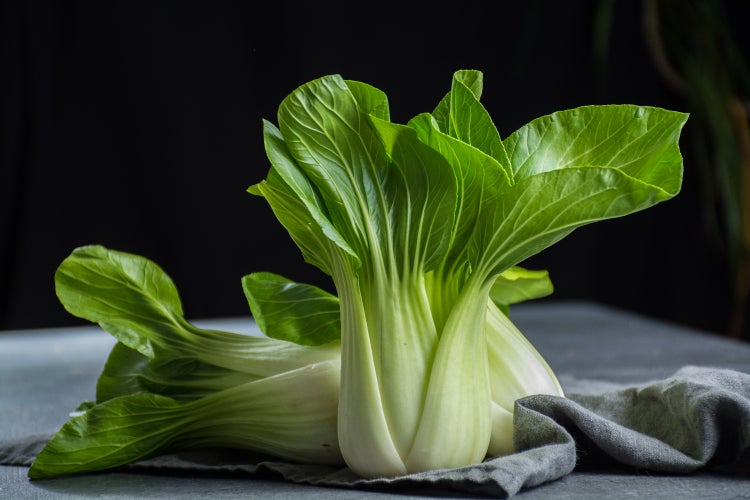 SAFLAX  - BIO - Chinesischer Senfkohl - Pak Choi - Brassica rapa supsp. chinensis - 300 Samen