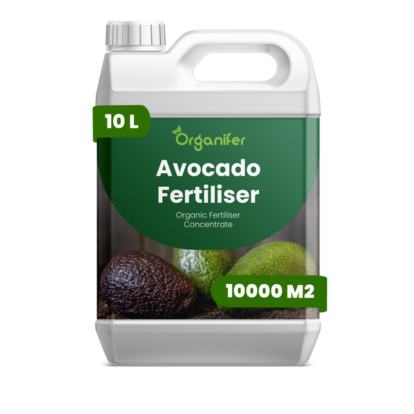 Organifer Avocado Dünger, organisches Düngerkonzentrat, 10 Liter Kanister für circa 10000 Quadratmeter. Organifer Logo.