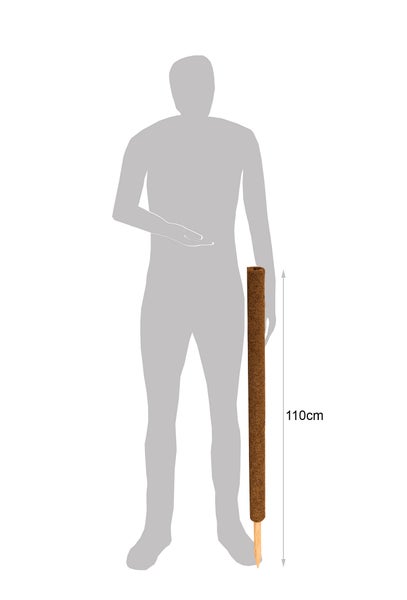 BigDean 4er Set Pflanzstäbe Kokos 110 cm - Monstera Rankhilfe Rankstäbe Stab Moosstäbe Pflanzenstäbe Kokosstäbe für Pflanzen - aus natürlicher Kokosfaser - verlängerbar
