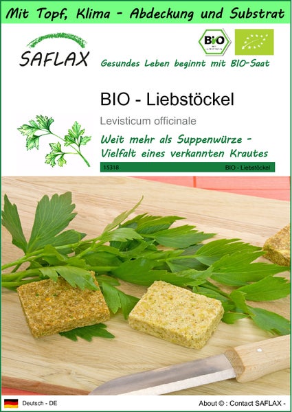 SAFLAX Garden to go - BIO - Liebstöckel - Levisticum officinale - 100 Samen - Mit Topf, Klima - Deckel und Anzuchtsubstrat