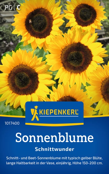 Kiepenkerl Saatgut Sonnenblume Schnittwunder, einjährige Schnitt- und Beet-Sonnenblume, 150 bis 200 Zentimeter hoch