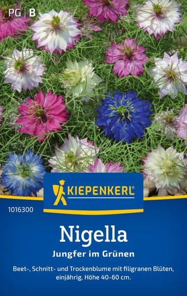 Saatgut Kiepenkerl Nigella Jungfer im Gruenen mit filigranen Blueten für Beet Schnitt und Trockenblumen