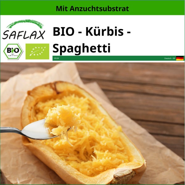 SAFLAX  - BIO - Kürbis - Spaghetti - Cucurbita pepo - 5 Samen - Mit keimfreiem Anzuchtsubstrat