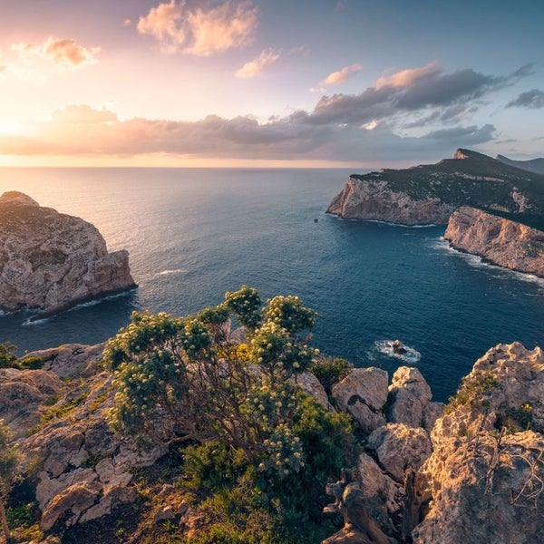 Küstenlandschaft mit Felsen, Meer und Vegetation