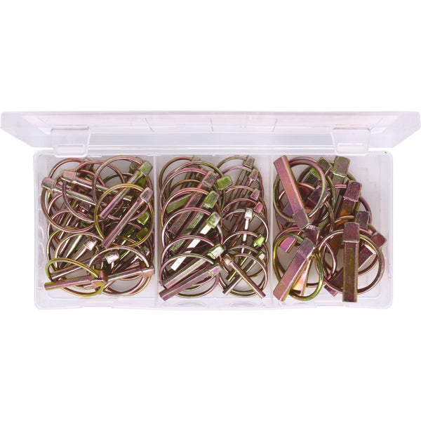 Splintsortiment, 50-teilig im transparenten Kasten