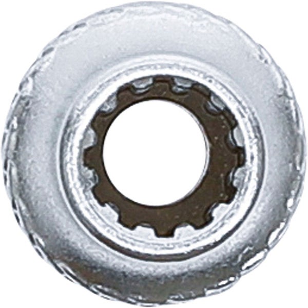 Rosette für Sanitäranwendungen