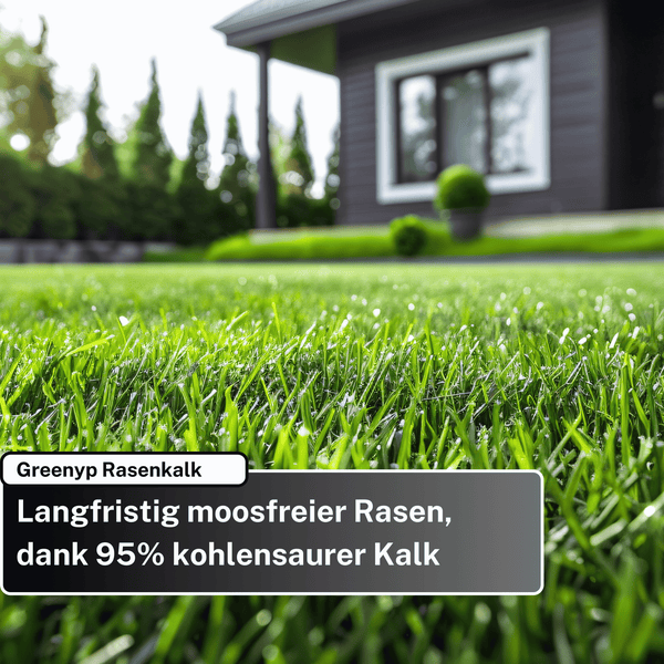 Greenyp Rasenkalk & Gartenkalk I 30kg / 600m² I fein gekörnter staubarmer kohlensaurer Kalk gegen Moos und Pilze im Rasen