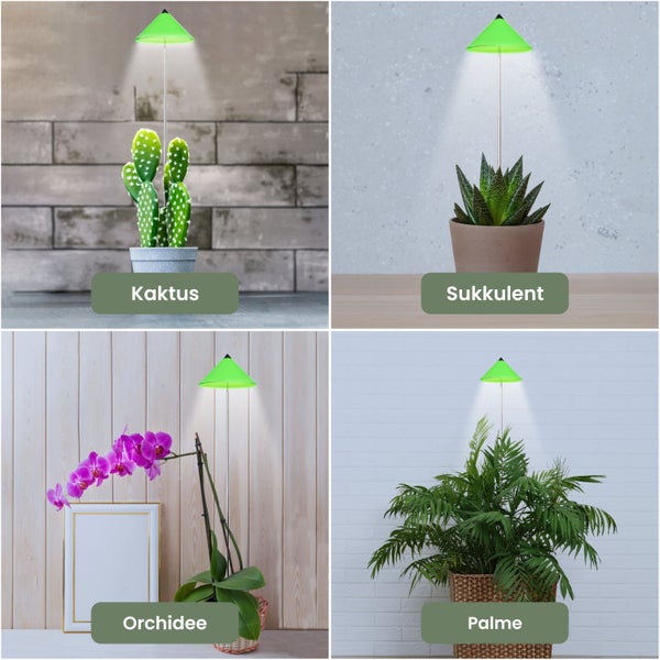 Parus by Venso SUNLiTE 7W LED Vollspektrum Pflanzenlampe Grün, Indoor Plants Pflanzen Beleuchtung, mit ausziehbarem Teleskopstab, Parus Pflanzenlampe für kleine und mittelgroße Zimmerpflanzen