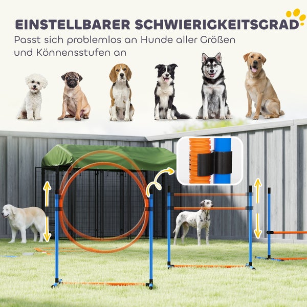 Verstellbares Hunde-Agility-Trainingsset im hellen Garten mit Hürde und Sprungreifen für verschiedene Schwierigkeitsgrade und Hundegrößen.