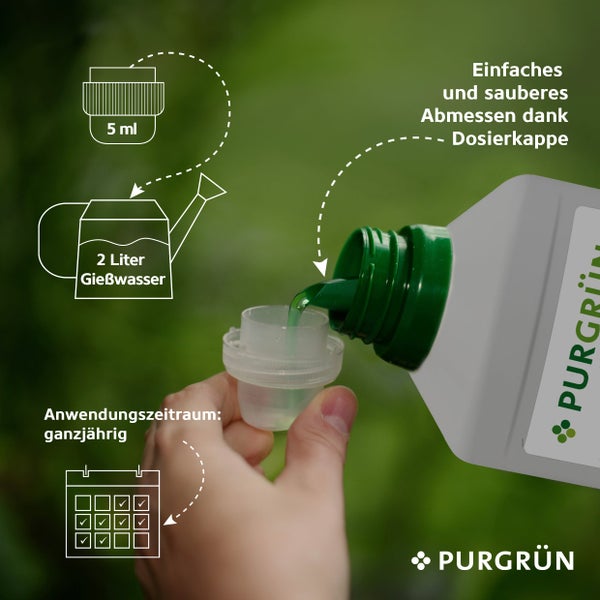 Purgrün Grünlilie-Dünger 1 Liter