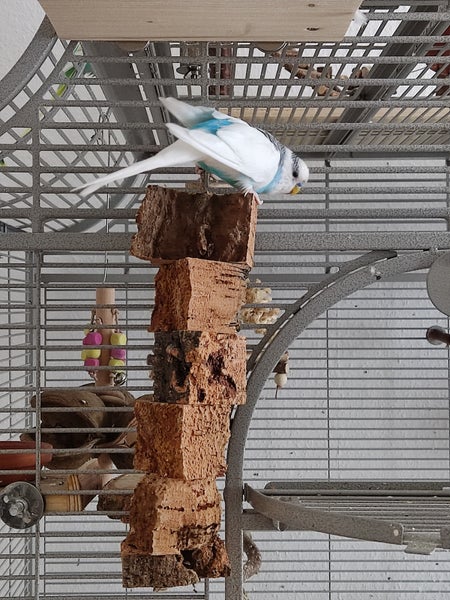 Kletterturm für Vögel aus Korkrinde in einem Metallkäfig mit einem Wellensittich.