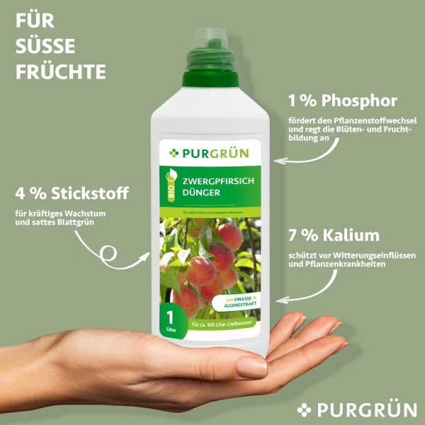 Purgrün Bio-Zwergpfirsich-Dünger 1 Liter
